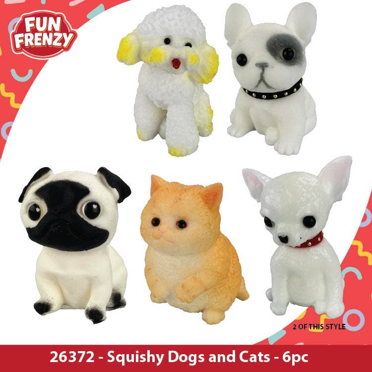 Fun Frenzy Squishy Dogs & Cats Closeout Bulk Assortment